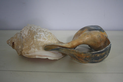 Craft Grade Large Whelk Shells